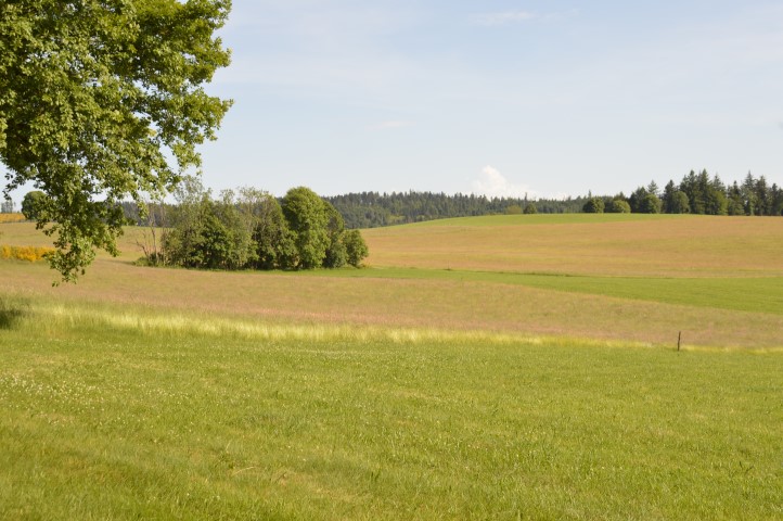 Marche Populaire 31 mai 2025C Schmidlin (30) (Small)