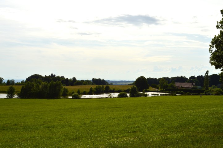 Marche Populaire 31 mai 2025C Schmidlin (31) (Small)