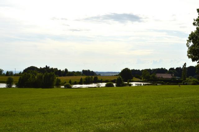 Marche Populaire 31 mai 2025C Schmidlin (31) (Small)