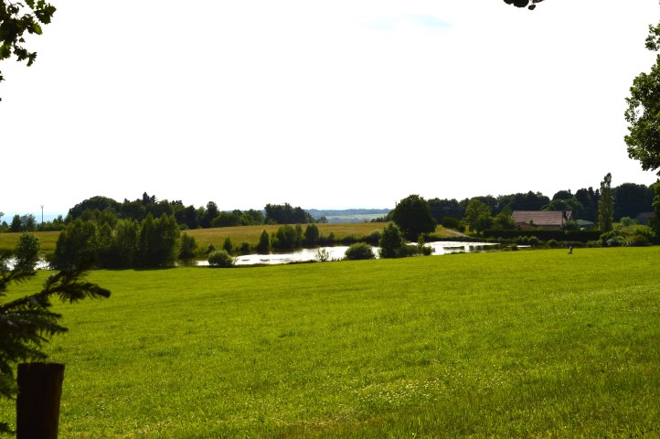 Marche Populaire 31 mai 2025C Schmidlin (32) (Small)