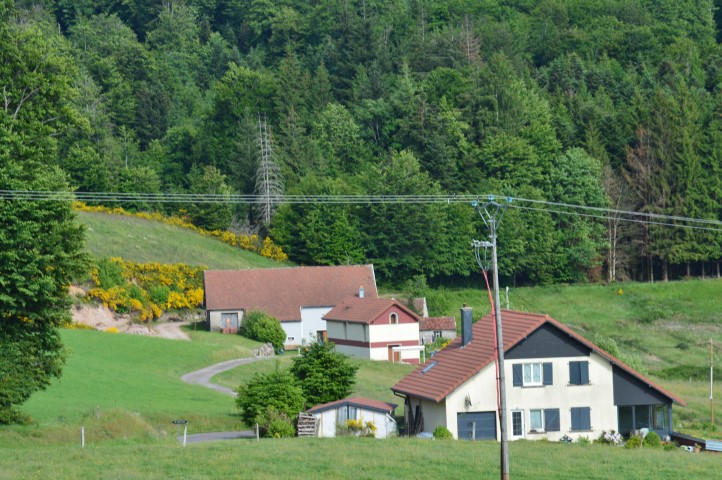 Marche Populaire 31 mai 2025C Schmidlin (33) (Small)