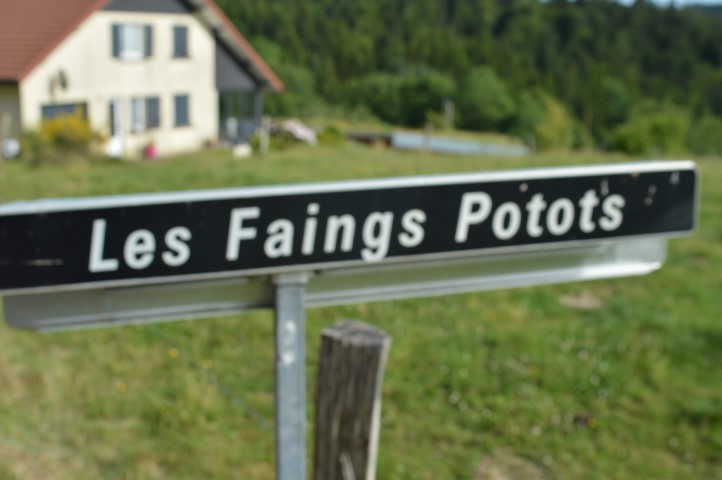 Marche Populaire 31 mai 2025C Schmidlin (36) (Small)