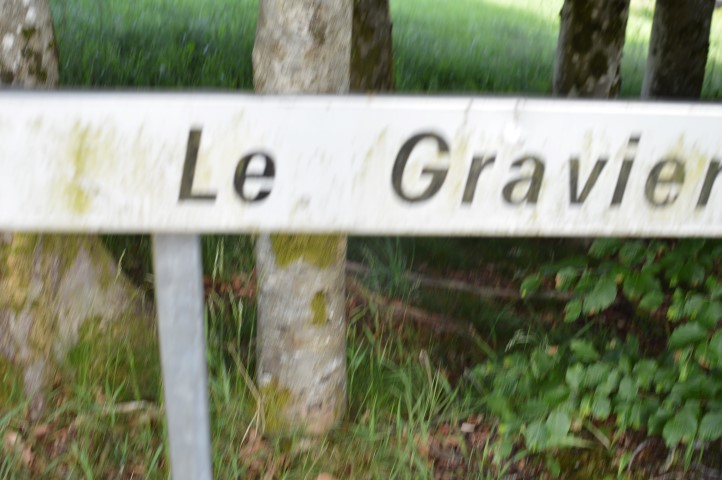 Marche Populaire 31 mai 2025C Schmidlin (37) (Small)