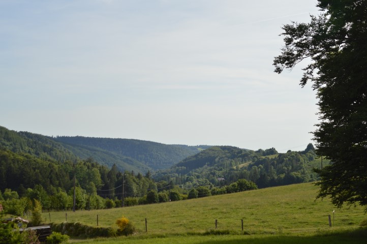 Marche Populaire 31 mai 2025C Schmidlin (38) (Small)