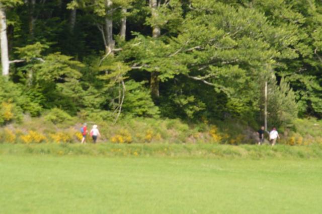 Marche Populaire 31 mai 2025C Schmidlin (39) (Small)