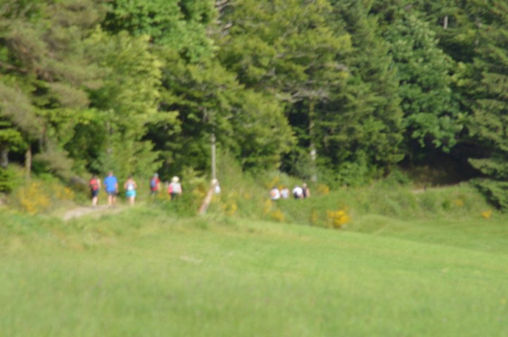 Marche Populaire 31 mai 2025C Schmidlin (40) (Small)