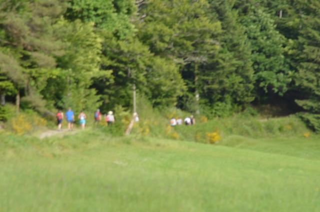 Marche Populaire 31 mai 2025C Schmidlin (40) (Small)