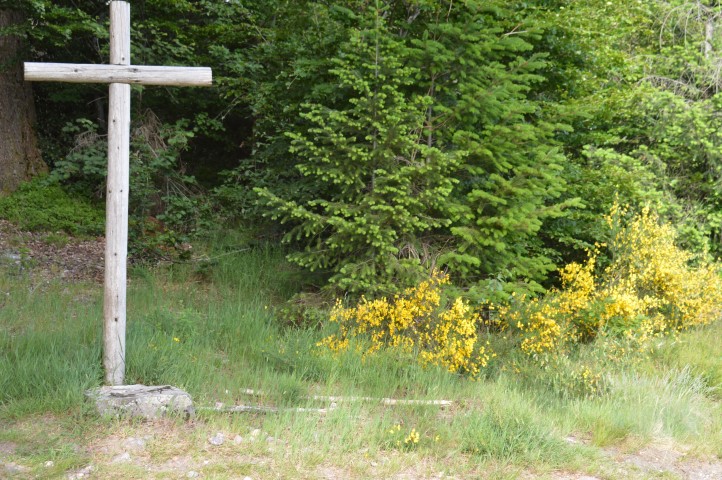 Marche Populaire 31 mai 2025C Schmidlin (42) (Small)