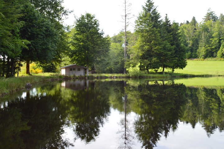 Marche Populaire 31 mai 2025C Schmidlin (46) (Small)