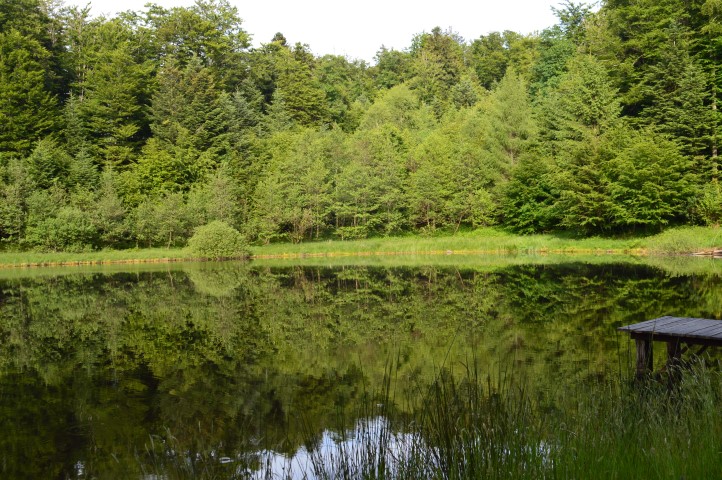 Marche Populaire 31 mai 2025C Schmidlin (47) (Small)