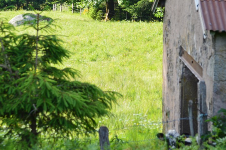 Marche Populaire 31 mai 2025C Schmidlin (48) (Small)