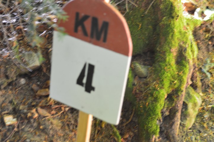 Marche Populaire 31 mai 2025C Schmidlin (49) (Small)