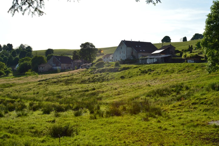 Marche Populaire 31 mai 2025C Schmidlin (50) (Small)