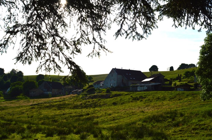 Marche Populaire 31 mai 2025C Schmidlin (51) (Small)