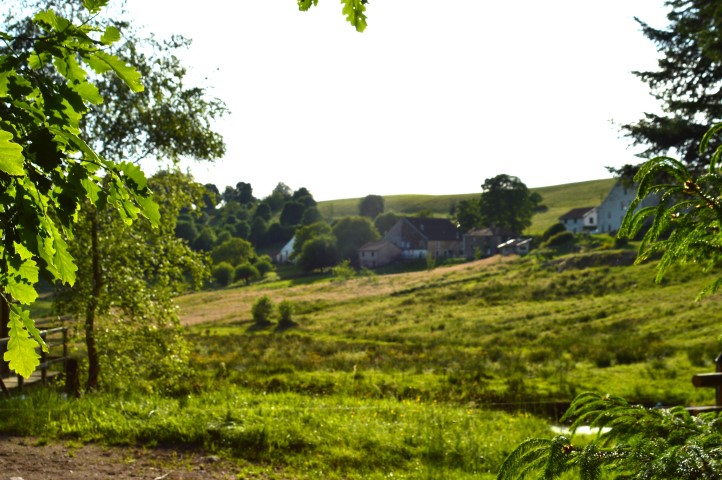 Marche Populaire 31 mai 2025C Schmidlin (52) (Small)