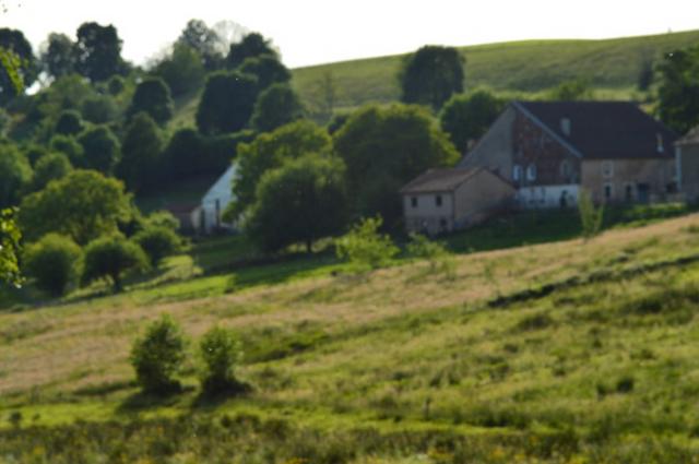 Marche Populaire 31 mai 2025C Schmidlin (53) (Small)