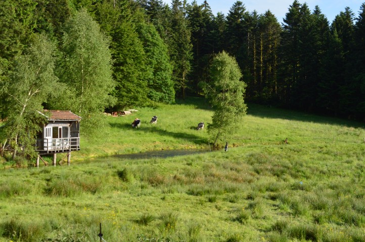 Marche Populaire 31 mai 2025C Schmidlin (54) (Small)