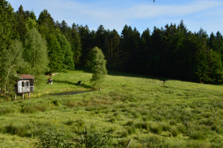 Marche Populaire 31 mai 2025C Schmidlin (56) (Small)