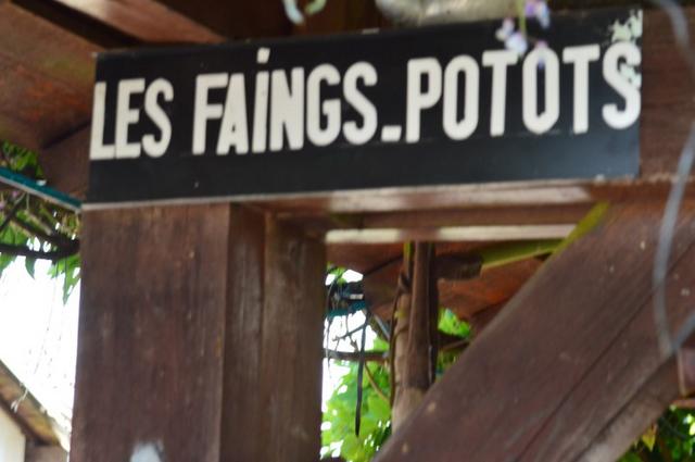 Marche Populaire 31 mai 2025C Schmidlin (60) (Small)