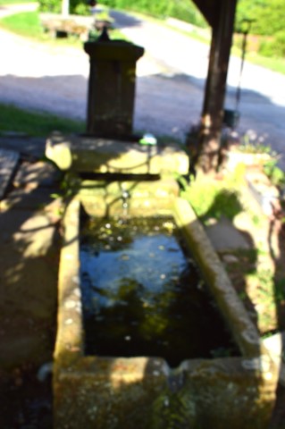 Marche Populaire 31 mai 2025C Schmidlin (61) (Small)