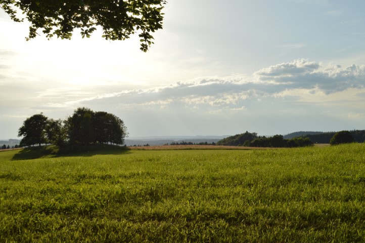 Marche Populaire 31 mai 2025C Schmidlin (63) (Small)