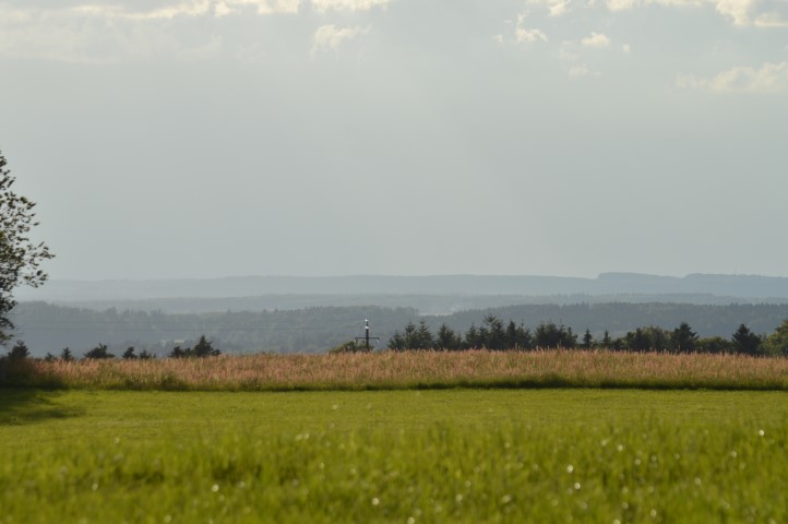 Marche Populaire 31 mai 2025C Schmidlin (64) (Small)