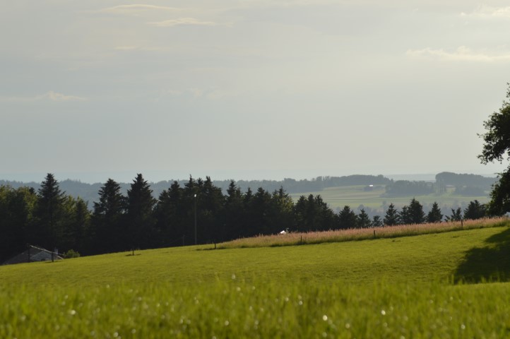 Marche Populaire 31 mai 2025C Schmidlin (65) (Small)