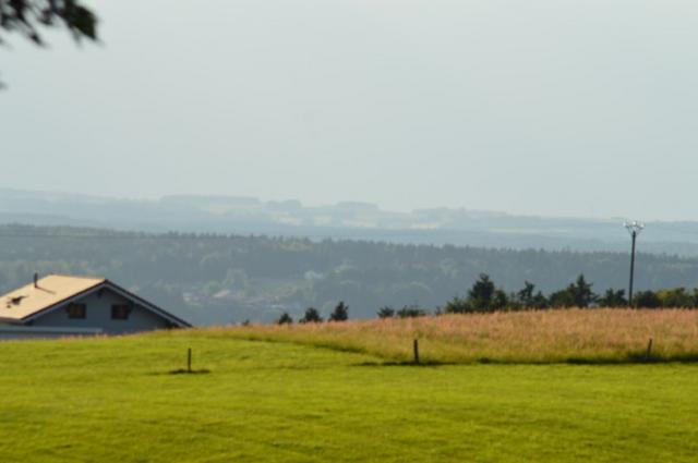 Marche Populaire 31 mai 2025C Schmidlin (66) (Small)