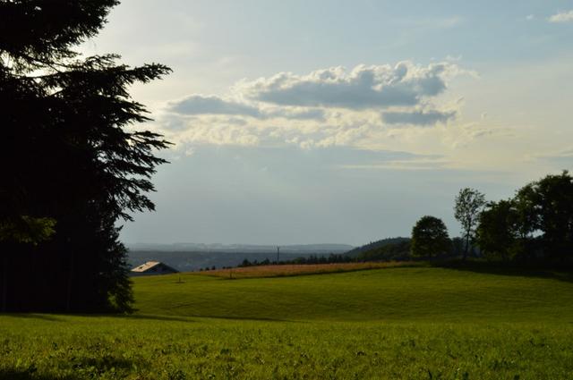 Marche Populaire 31 mai 2025C Schmidlin (67) (Small)