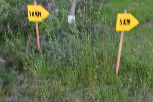 Marche Populaire 31 mai 2025C Schmidlin (73) (Small)