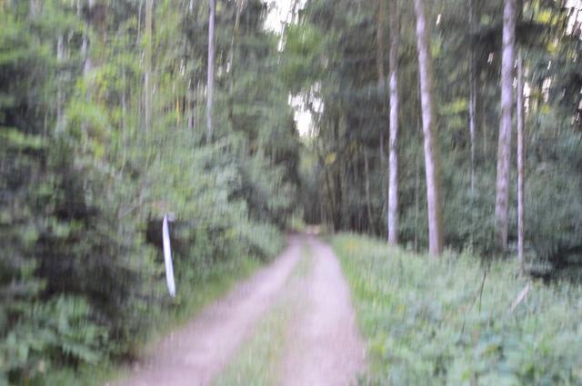 Marche Populaire 31 mai 2025C Schmidlin (74) (Small)