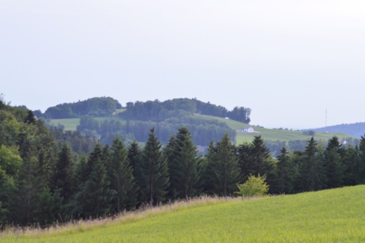 Marche Populaire 31 mai 2025C Schmidlin (75) (Small)