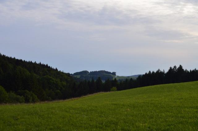 Marche Populaire 31 mai 2025C Schmidlin (77) (Small)