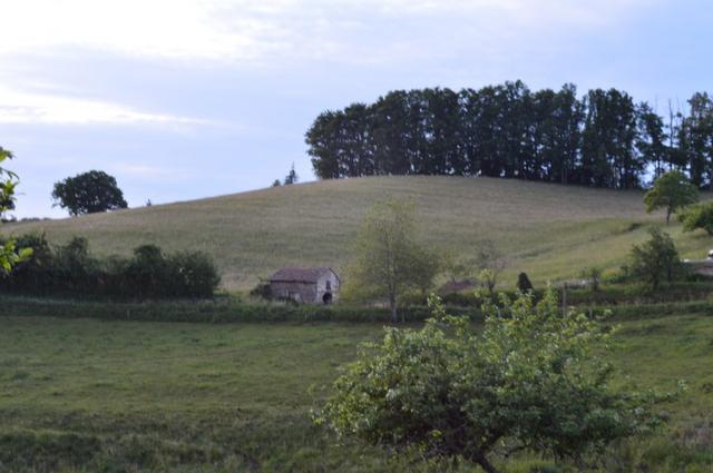 Marche Populaire 31 mai 2025C Schmidlin (78) (Small)