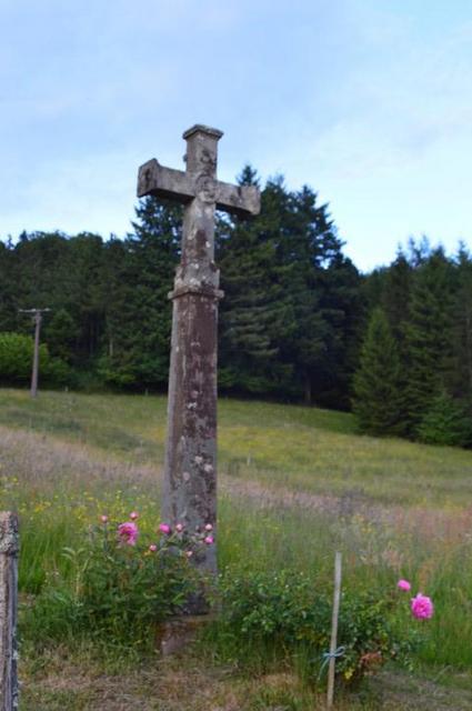 Marche Populaire 31 mai 2025C Schmidlin (79) (Small)