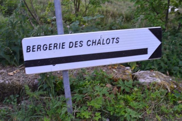 Marche Populaire 31 mai 2025C Schmidlin (81) (Small)