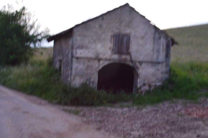 Marche Populaire 31 mai 2025C Schmidlin (82) (Small)