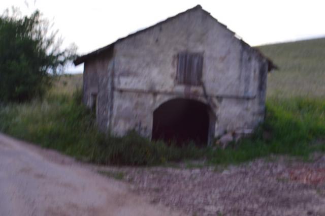 Marche Populaire 31 mai 2025C Schmidlin (82) (Small)