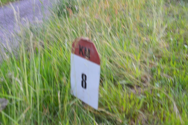 Marche Populaire 31 mai 2025C Schmidlin (83) (Small)