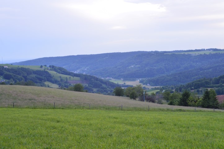 Marche Populaire 31 mai 2025C Schmidlin (84) (Small)