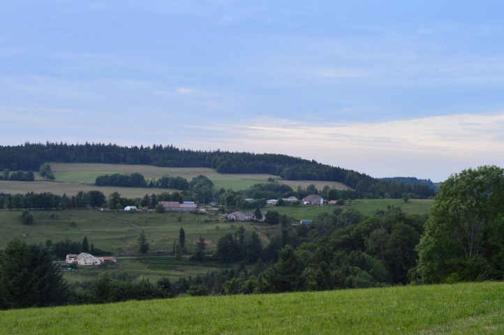 Marche Populaire 31 mai 2025C Schmidlin (87) (Small)