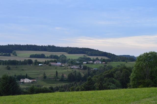 Marche Populaire 31 mai 2025C Schmidlin (87) (Small)