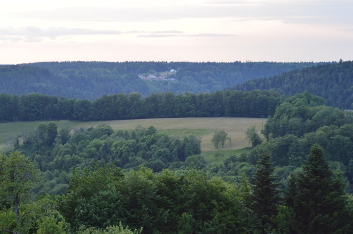 Marche Populaire 31 mai 2025C Schmidlin (88) (Small)