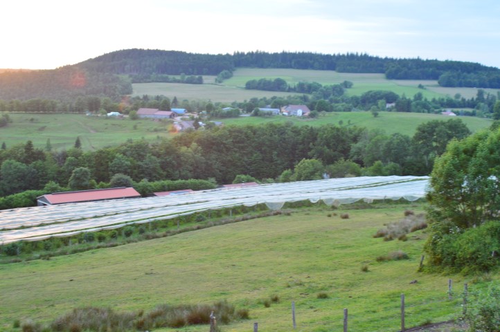 Marche Populaire 31 mai 2025C Schmidlin (91) (Small)