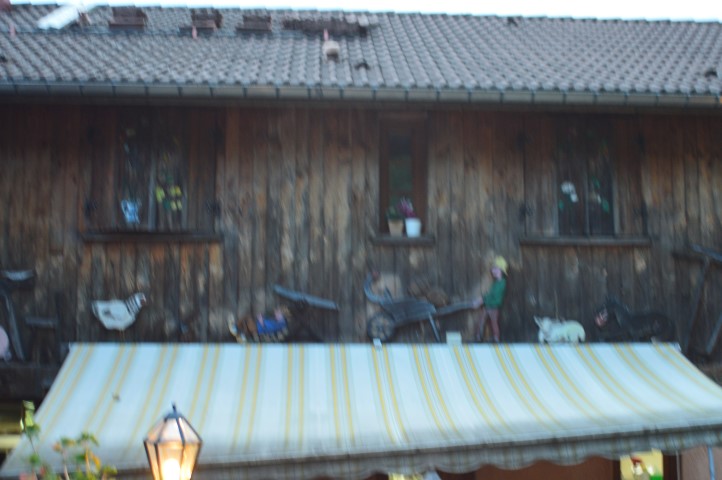 Marche Populaire 31 mai 2025C Schmidlin (93) (Small)