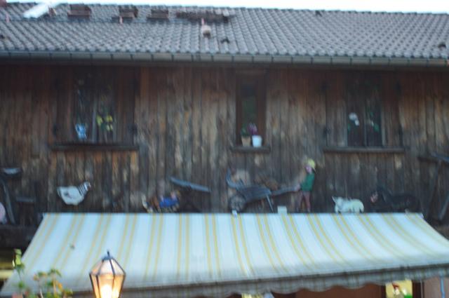 Marche Populaire 31 mai 2025C Schmidlin (93) (Small)