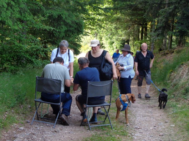 MP Simone  (26) (Small)