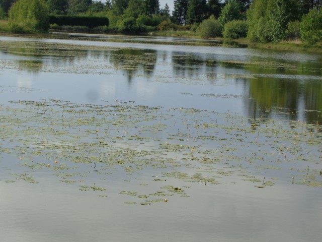 MP Simone  (28) (Small)