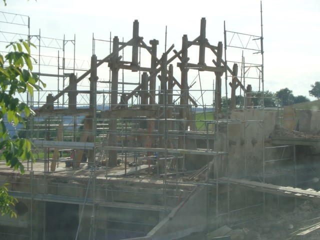 MP Simone  (30) (Small)