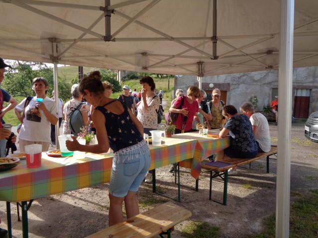 MP Simone  (36) (Small)